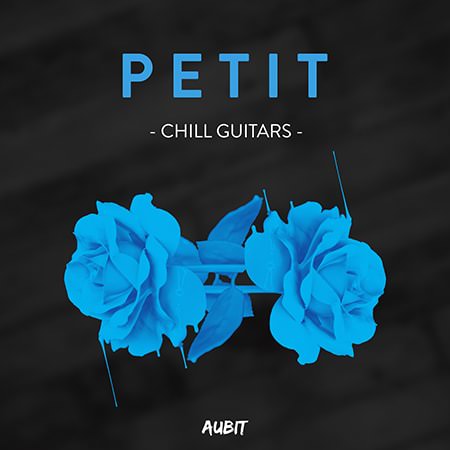 Aubitsound Petit Guitars WAV