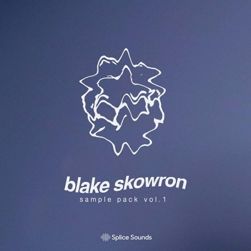 Splice Blake Skowron Sample Pack WAV