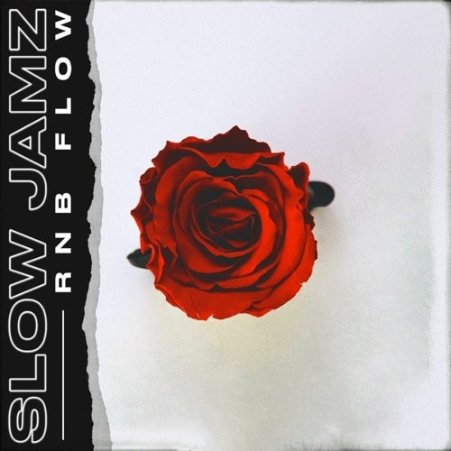 Slow Jamz: RnB Flow Sample Pack WAB