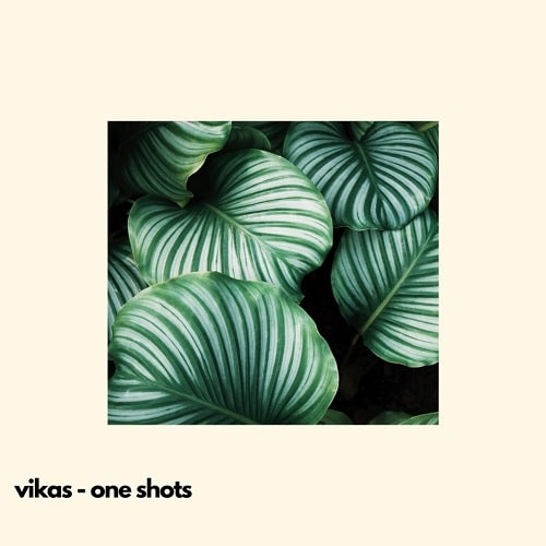 Vikas Synth Shots Library WAV