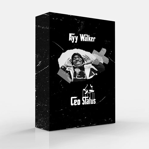 Ayy Walker Ceo Status Drum Kit / Loop Kit WAV