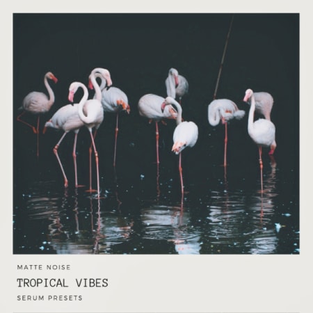 GOGOi Tropical Vibes Serum Presets