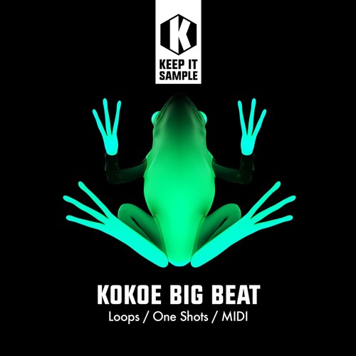 Keep It Sample Kokoe Big Beat Sample Pack