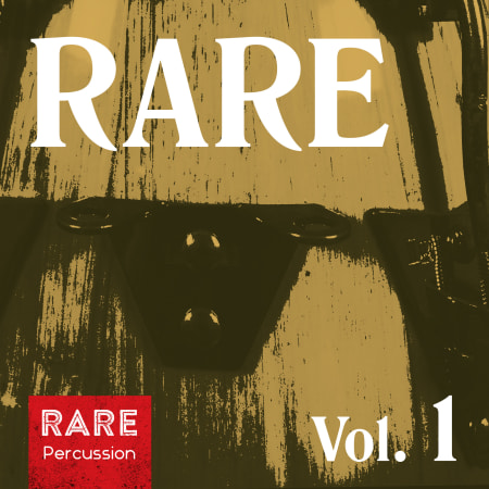 RARE Percussion RARE Vol.1 WAV