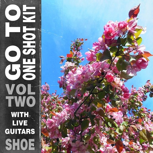 SHOE Go To One Shot Kit Vol.2 WAV