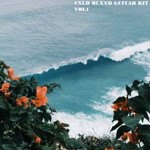 CXLD BLXXD Guitar Kit Vol.1 WAV