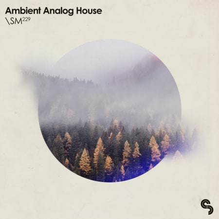 SM 229 Ambient Analog House WAV MIDI