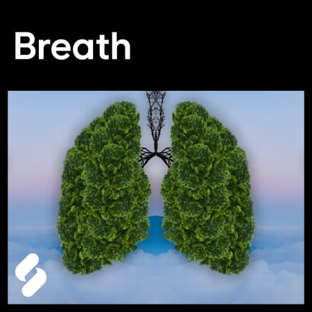 Splice Explores Breath WAV