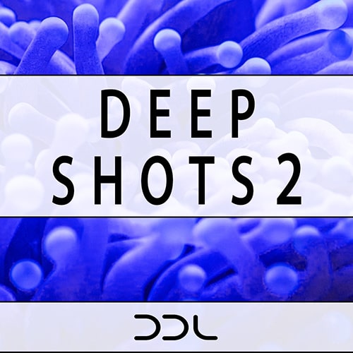 Deep Data Loops Deep Shots 2 WAV