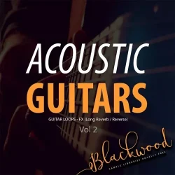 BLACKWOOD Samples Acoustic Guitars Vol.2