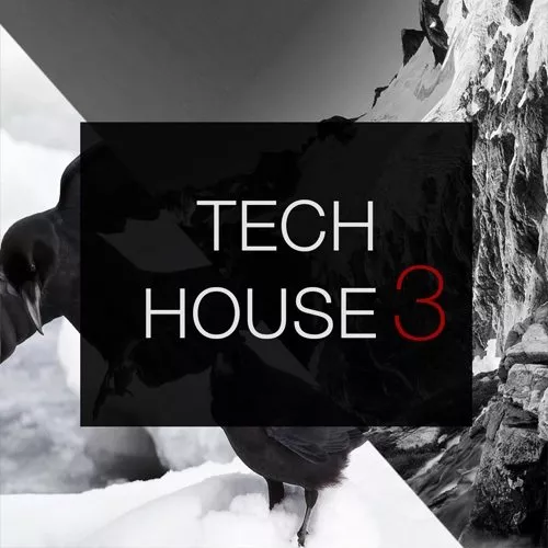 SPF Samplers Tech House 3