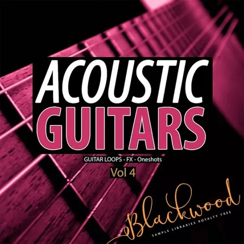 Blackwood Samples Acoustic Guitars 4