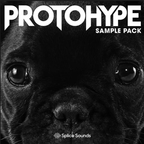 Splice Sounds Protohype Sample Pack