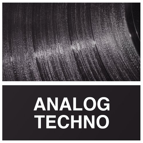 Whitenoise Records Analog Techno