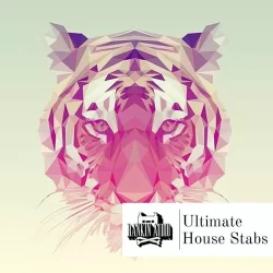 Rankin Audio Ultimate House Stabs WAV