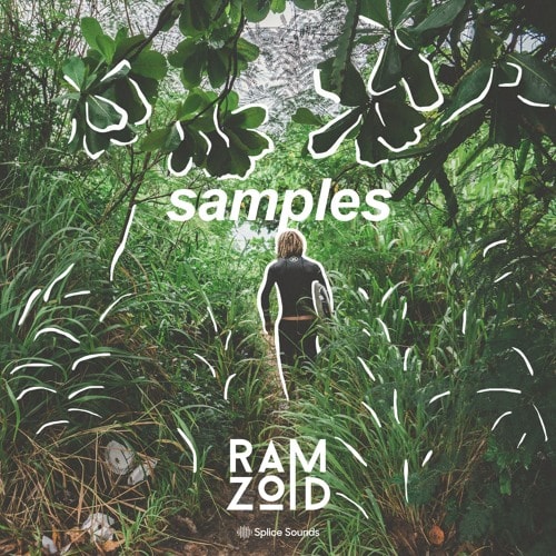 Ramzoid Sample Pack WAV