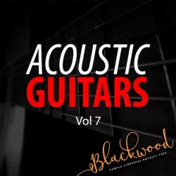 Blackwood Samples Acoustic Guitars Vol.7