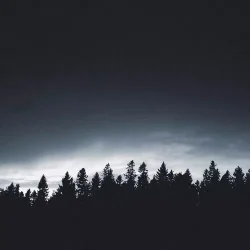 Tontario Nature's Essence WAV