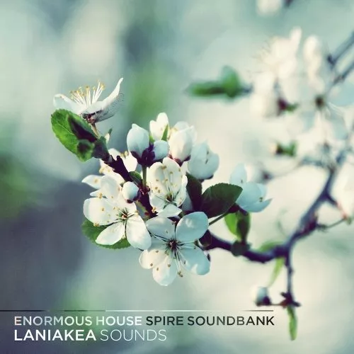 Laniakea Sounds Enormous House Spire Soundbank SBF