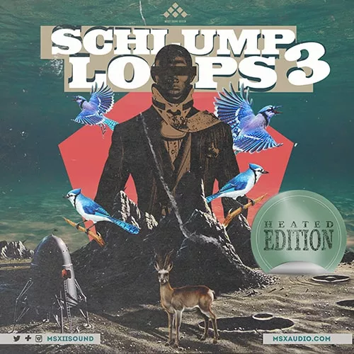 MSXII Sound Schlump Loops 3 WAV