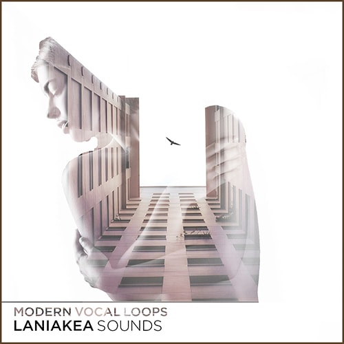 Laniakea Sounds Modern Vocal Loops WAV