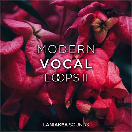 Laniakea Sounds Modern Vocal Loops 2 WAV-DISCOVER