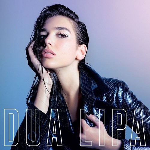 Dua Lipa - New Rules (Remix Stems)