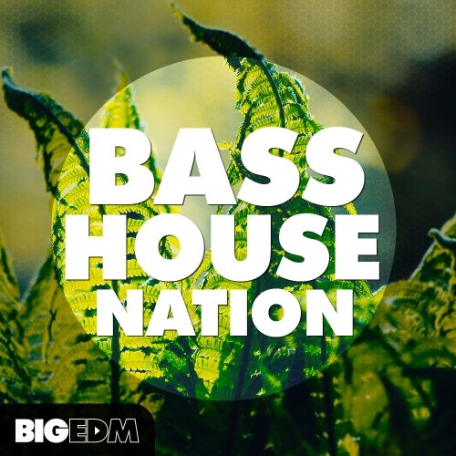 Big EDM Bass House Nation WAV MIDI PRESETS