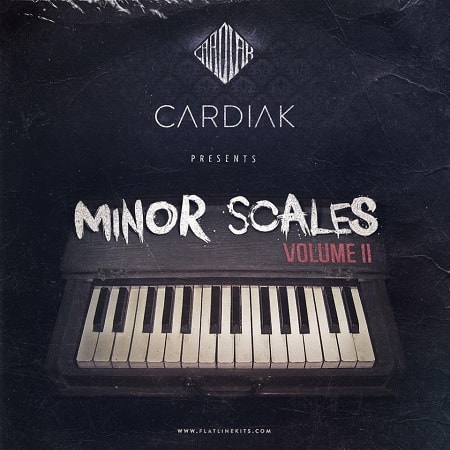 Cardiak Presents Minor Scales Vol.2 WAV MIDI