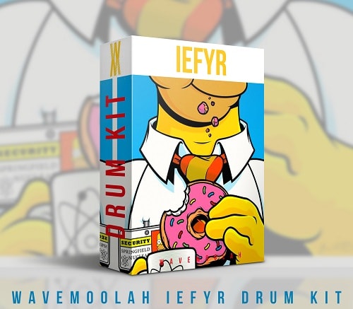 WaveMoolah IEFYR Drum Kit WAV