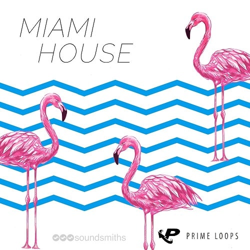 Miami House MULTIFORMAT