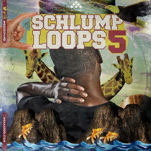 MSXII Schlump Loops 5 WAV