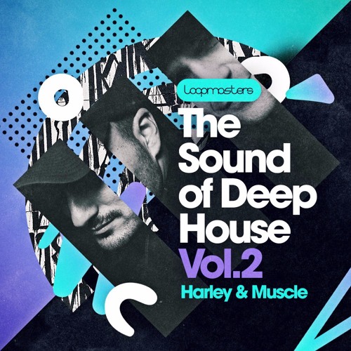 Harley & Muscle Present The Sound Of Deep House Vol 2 WAV REX