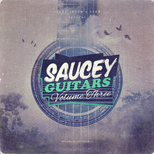 Saucey Guitars Vol.3 WAV