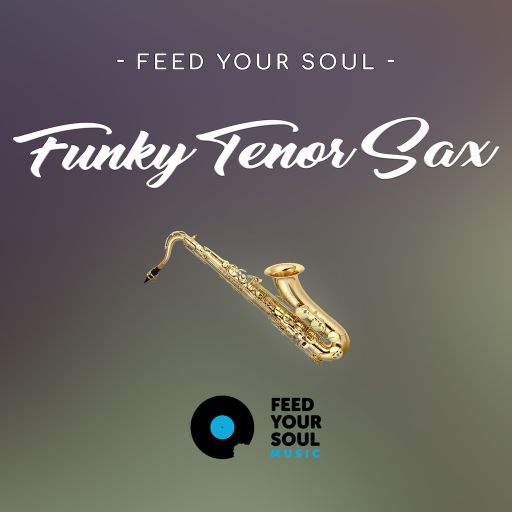 Feed Your Soul Music Feed Your Soul Funky Tenor Sax WAV