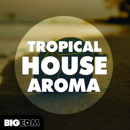 Tropical House Aroma WAV MIDI PRESETS