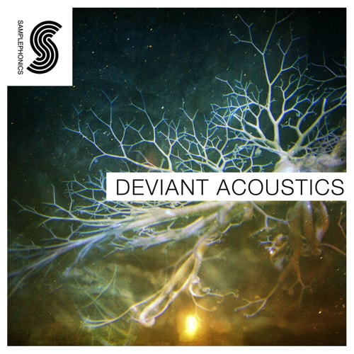 Samplephonics Deviant Acoustics MULTIFORMAT