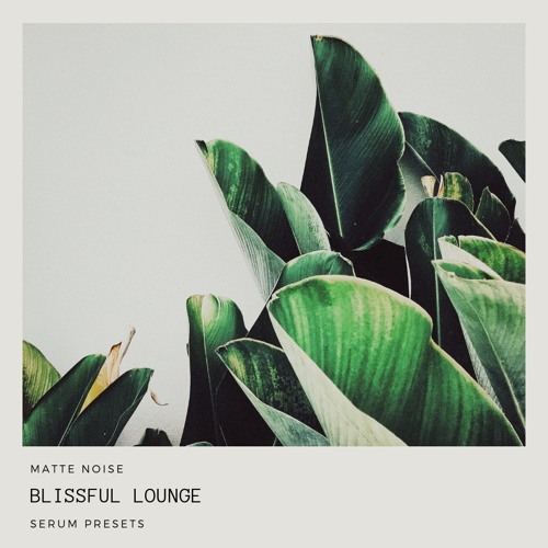 GOGOi Blissful Lounge For Serum