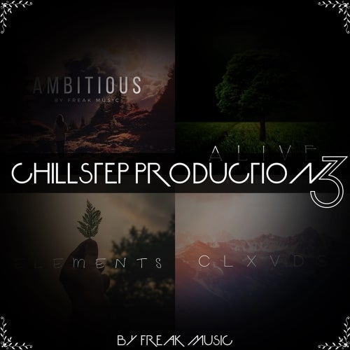 Freak Music Chillstep Production 3