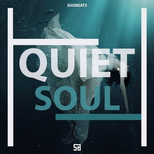 Shobeats Quiet Soul WAV MiDi SYLENTH1 KONTAKT NEXUS OMNiSPHERE PRESETS HAPPY NEW YEAR