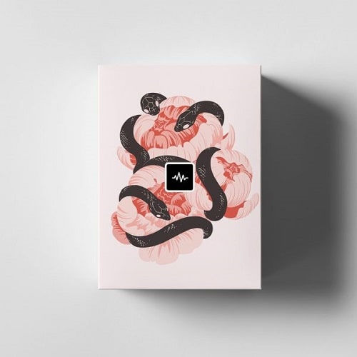 WavSupply Repko Scarlett (Loop Kit) WAV