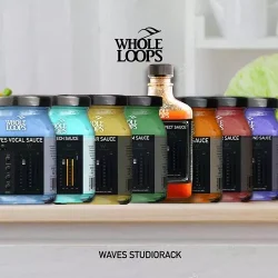 Whole Loops WAVES SAUCE BUNDLE