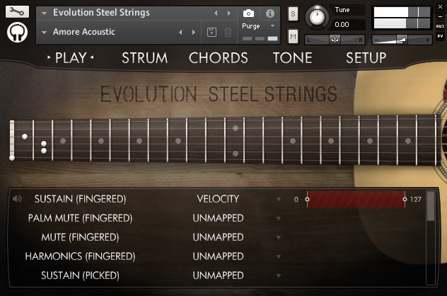 Evolution steel string add library in kontakt