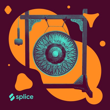 Splice Originals Experimental Percussion with Susie Ibarra WAV