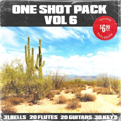 Shoe (100+) One Shot Pack Vol.6 WAV