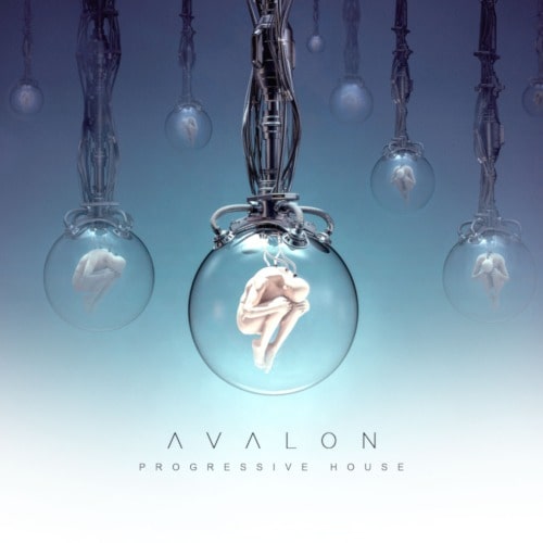 Avalon Progressive House Sample Pack WAV