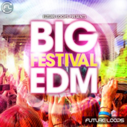 Big Festival EDM