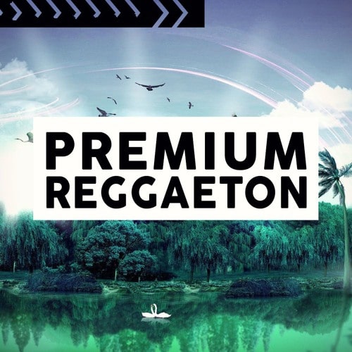 Premium Reggaeton WAV MIDI PRESETS