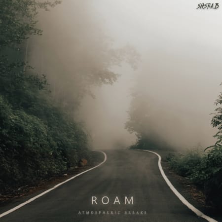 ShamanStems Roam: Atmospheric Breaks WAV