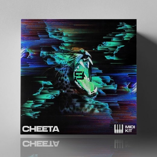 StudioPlug Cheetah (Midi Kit)